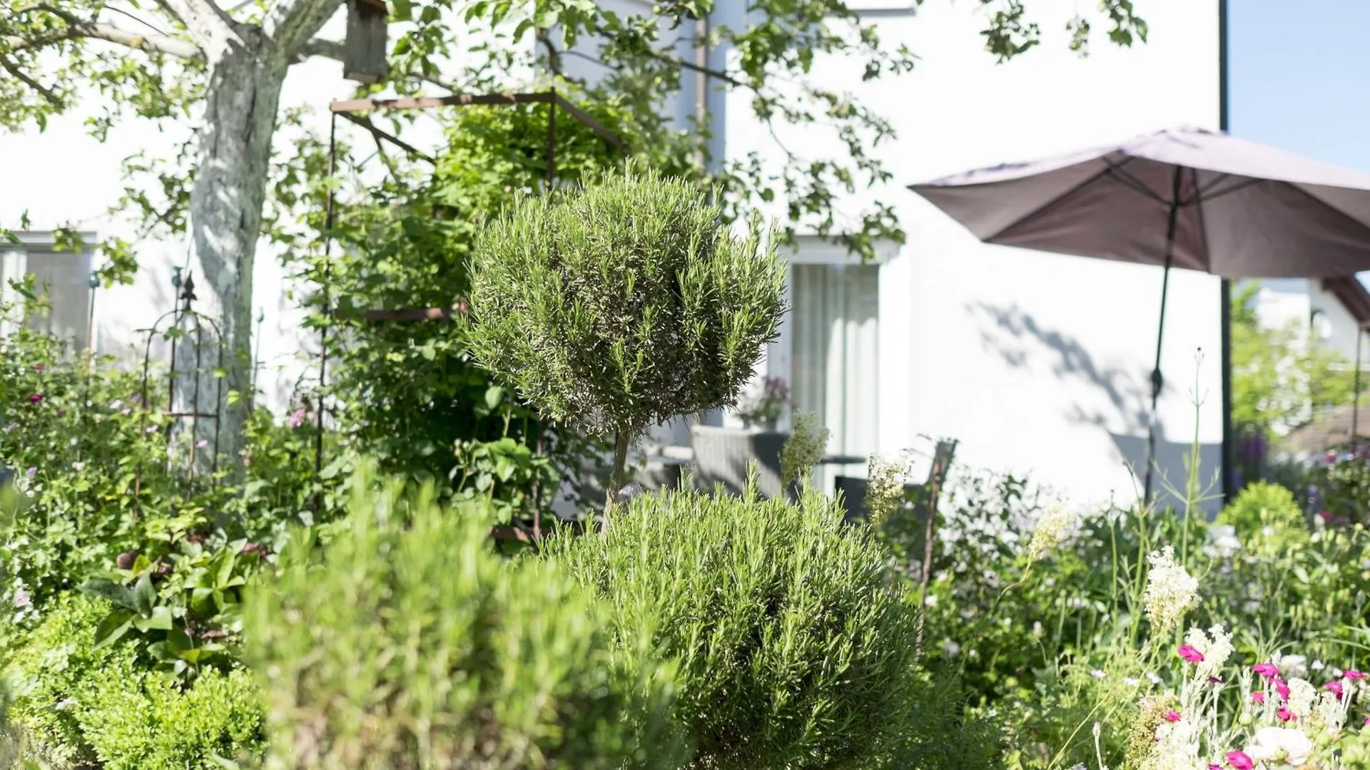 Ferienwohung Traumgarten Obereisenheim