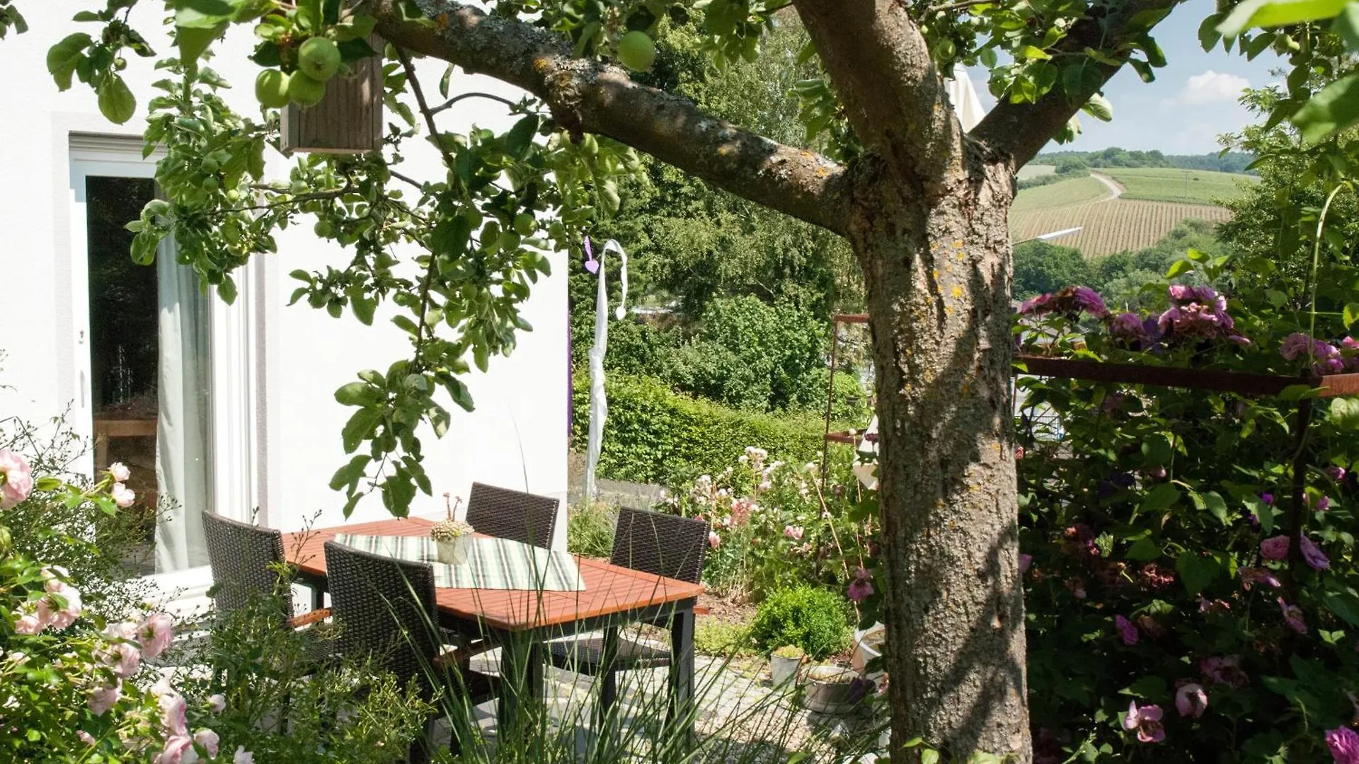 Ferienwohung Traumgarten Obereisenheim Apartment